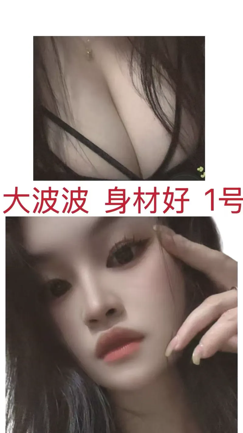 编号007 7