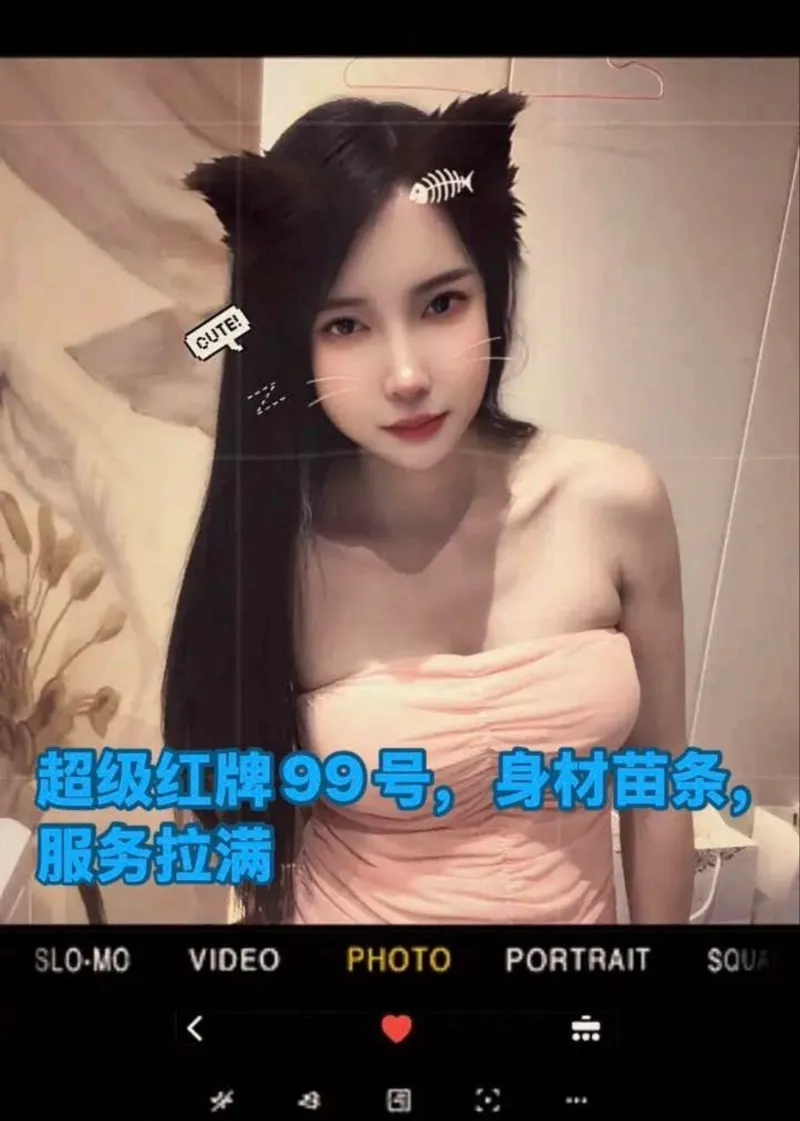 编号101 3