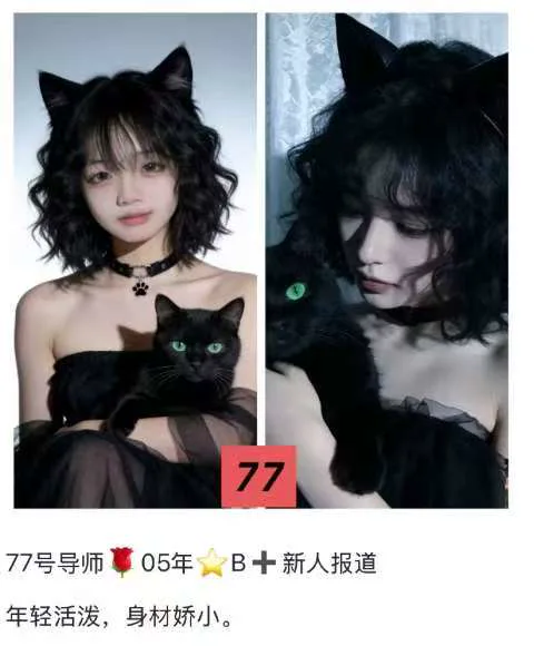 编号944 8