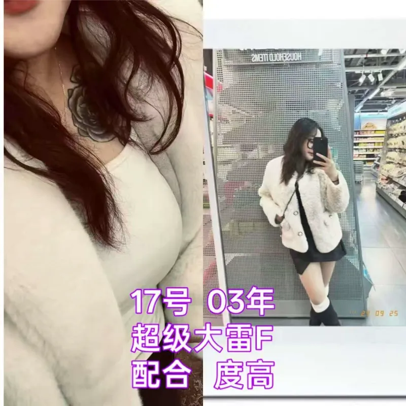 编号006 6