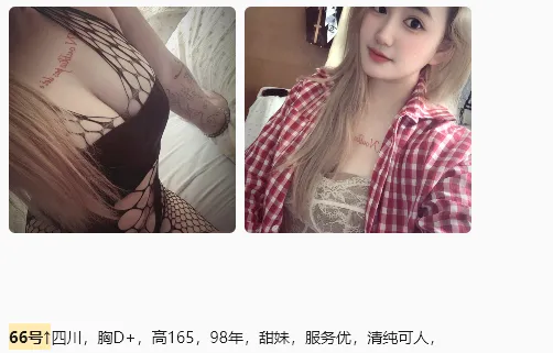 编号934 3