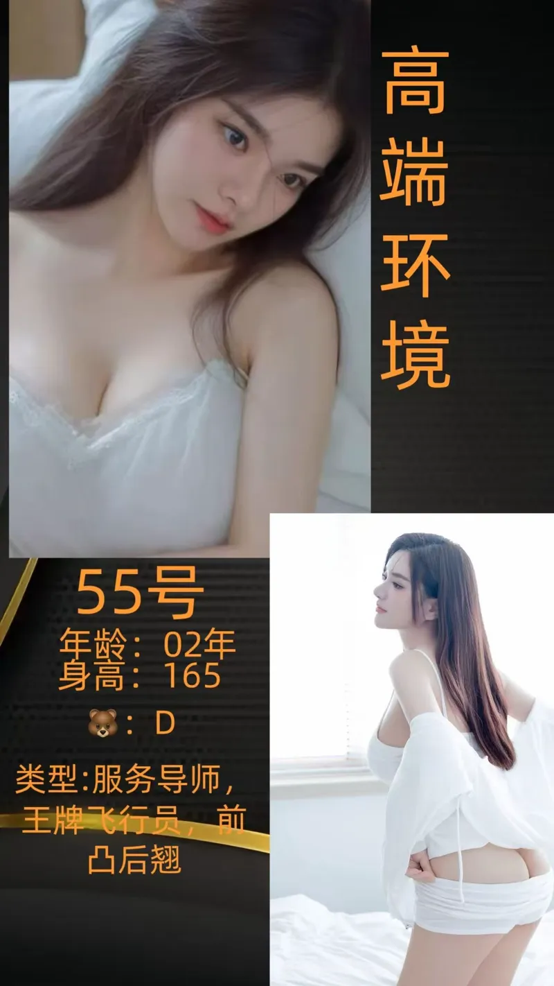 编号919 13