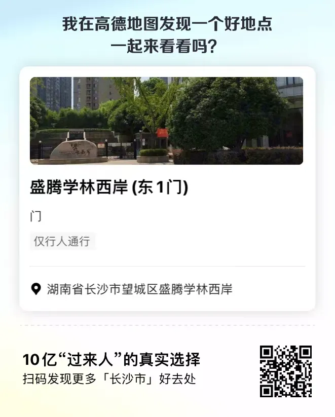 编号033 19