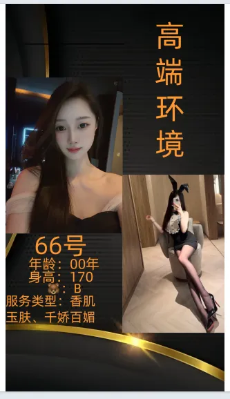 编号919 5