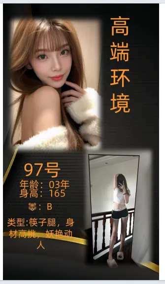 编号919 7