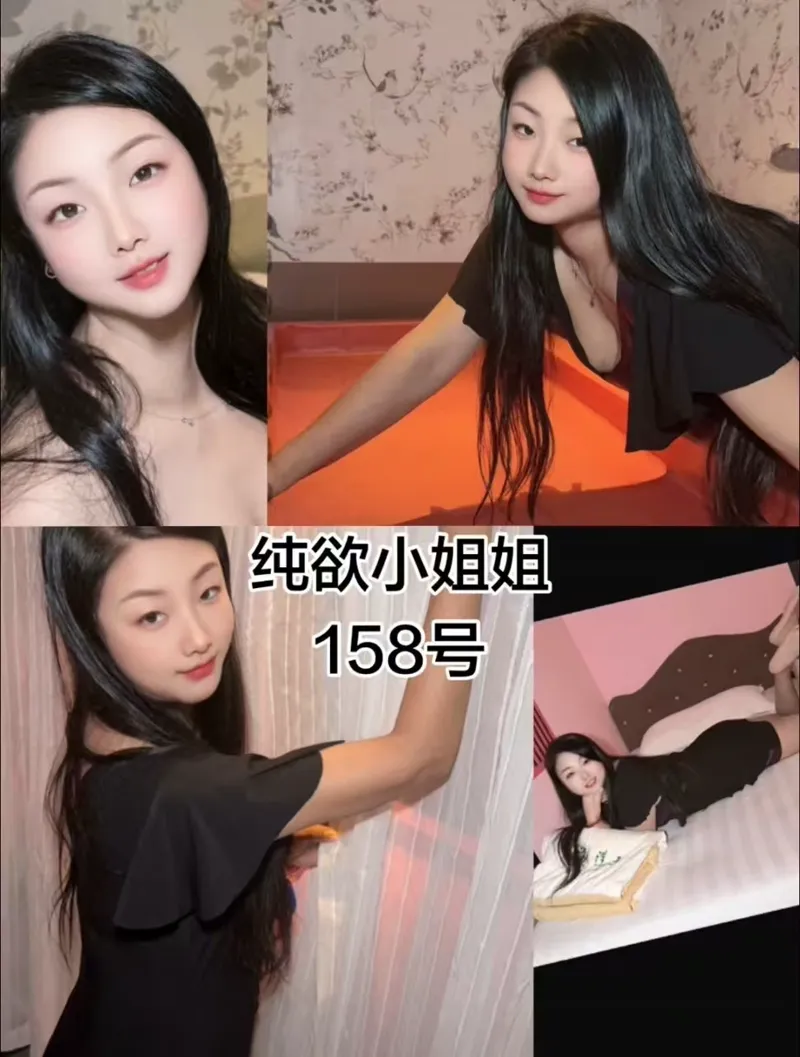 编号022 4